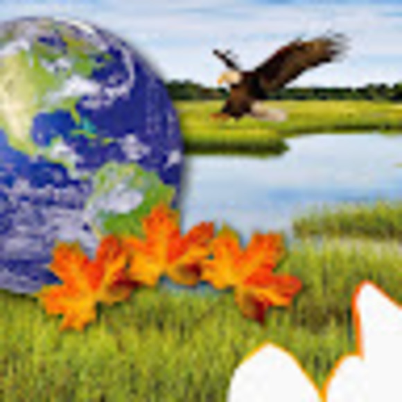 Meet your Posher, Administrative - Picture 1 of 1